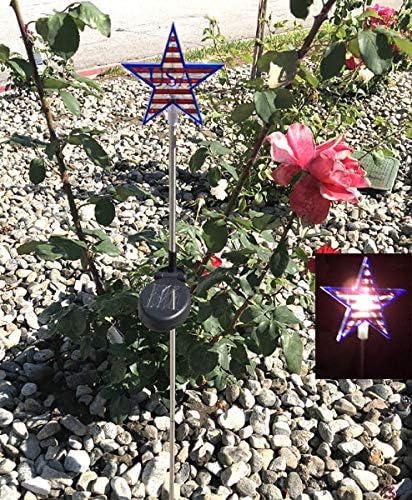 Entertainment House Solar Garden Stake Lights by Ntertainment+House