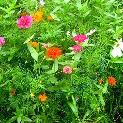 MTB Supply 10 Pack 16 x 24 inch Peony Cages, Grow Through Plant Support Stakes - Image 5