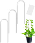 3 Pack Larger Acrylic U-Shaped Hoya Trellis, 16 Inch Indoor Climbing Plant by Unknown