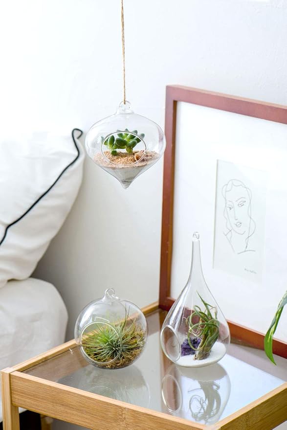 Mkono 3 Pack Glass Hanging Planter Air Fern Holder Terrarium Plants Hanger Vase - Image 3