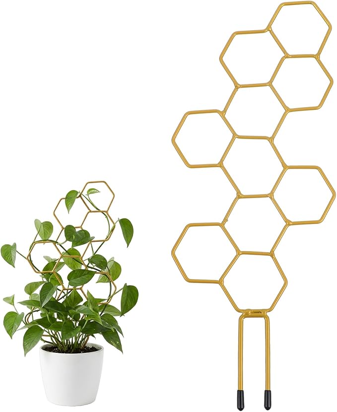 Small Trellis for Potted Plants, 14 Inch Indoor Trellis for Climbing Plants by Unknown