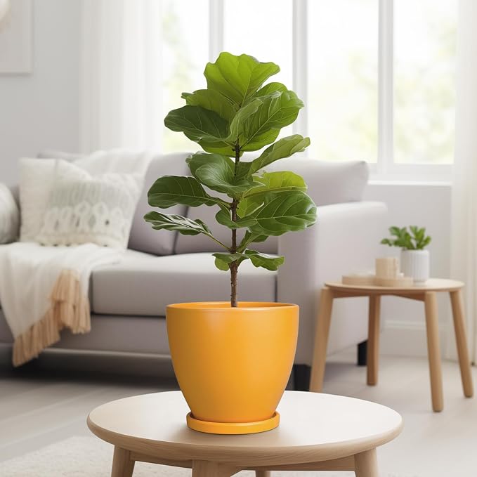 Ceramic Plant Pot - Image 4
