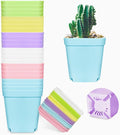 24 Pack 3inch Multi Color Square Plastic Plant Pots, Seedling Nursery by Anyumocz