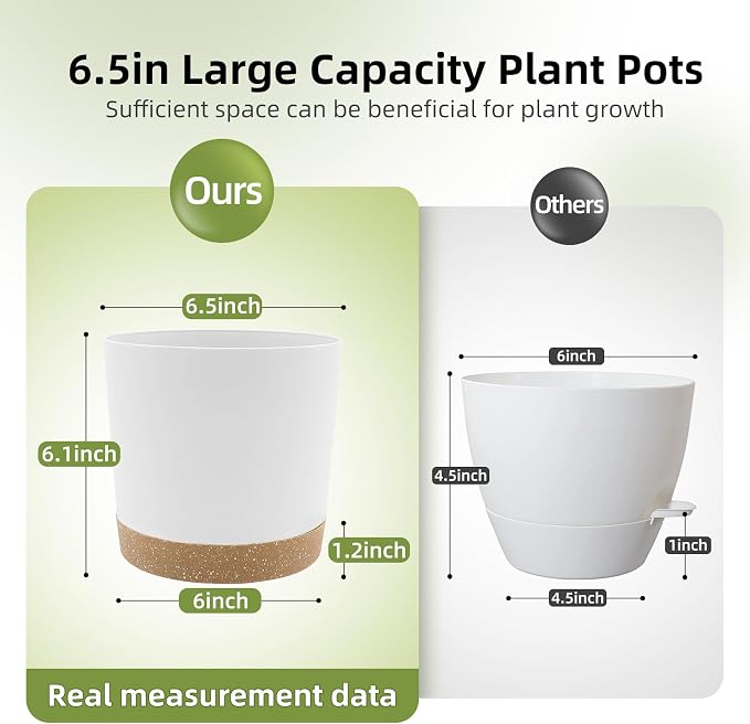 QCQHDU 6.5 inch Plant Pot, 2 Pack Planters - Image 2