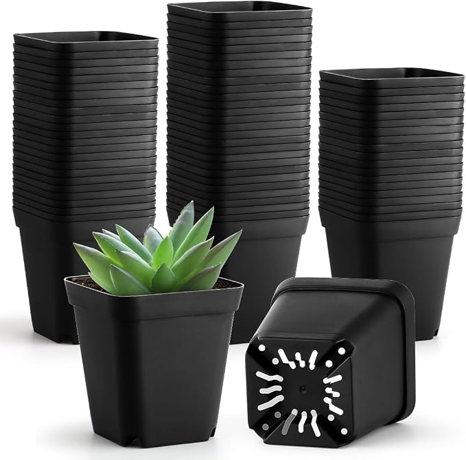 BTPLASTIK Small Plant Pots 3.5 Inch, Durable Plastic Succulents Pots by BTPLASTIK