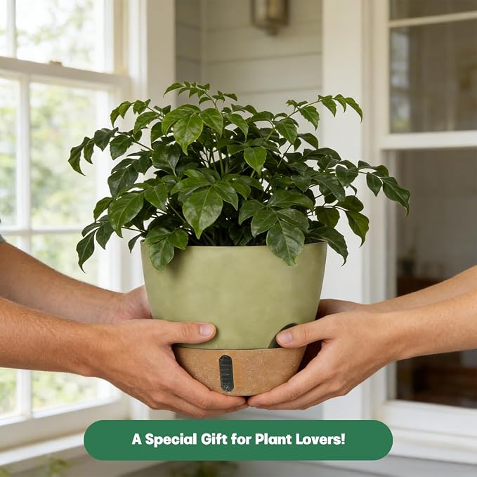 Self-Watering Hanging Planters for Indoor Plants Set 2-Piece Includes Plant - Image 7