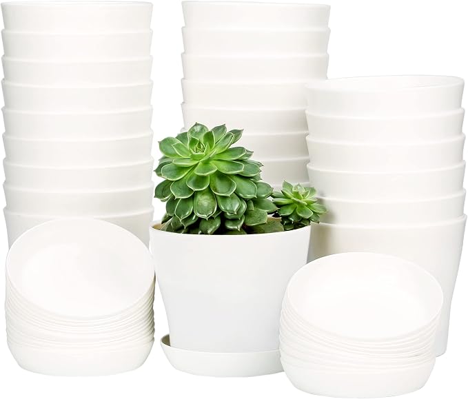 TDHDIKE 10 Pcs Plastic Planters Indoor Flower Plant Pots, Mini Flower Seedlings by TDHDIKE