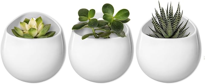 Mkono 4 Inch Wall Mounted Planter Round Ceramic Hanging Plant Holder Decorative by Mkono
