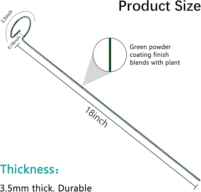 12 Pack 18 Inch Plant Support Stakes, Metal Single stemmed Flower Support - Image 3