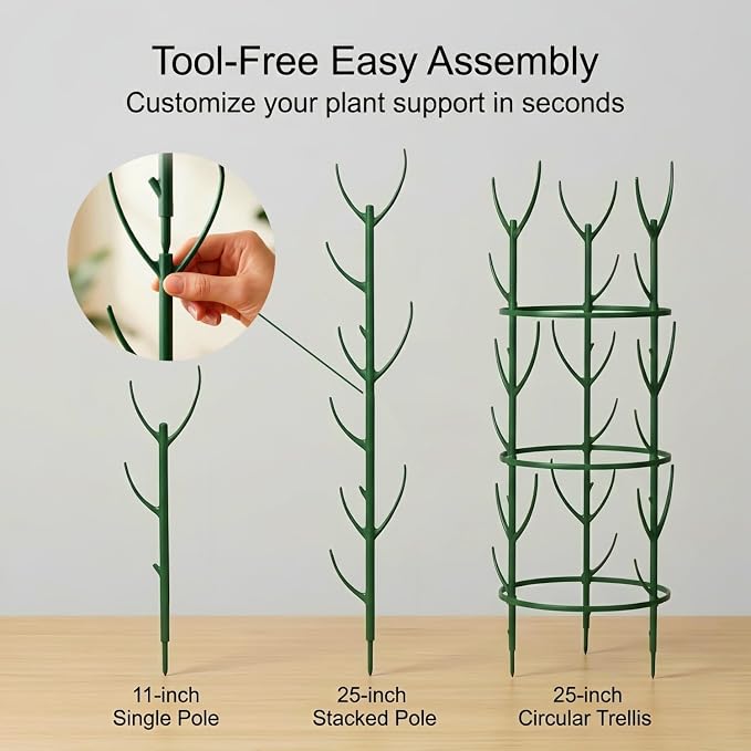 10-Pack Monstera Plant Support Stakes - Image 6