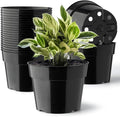 20 Pack Plant Pots, 6 Inch Plastic Plant Planter by RooTrimmer