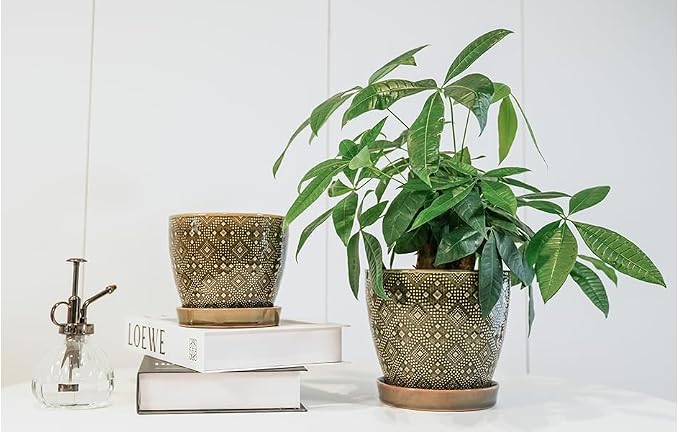Docrin Dark Green Ceramic Planter Set - Image 7