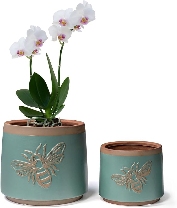 YBX Terracotta Pots with Drainage Holes, Bee Decor, Planter by YBXYIBOXUAN