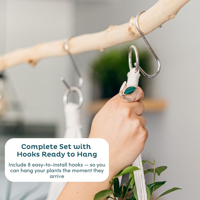 Nook Theory 4-Pack Macrame Plant Hangers - Image 3