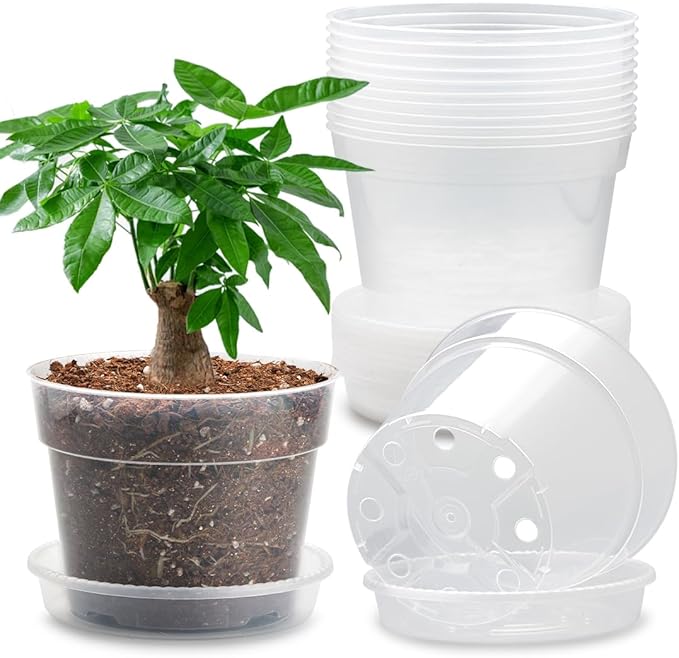 12 Pack 7 Inch Clear Nursery Pots by BTPLASTIK