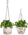 2 Pack Plant Hanger by Unknown