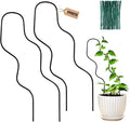 13.4 Inch Indoor Plant Trellis for Climbing Plants, Metal Trellis, Small Garden by OYOEETD