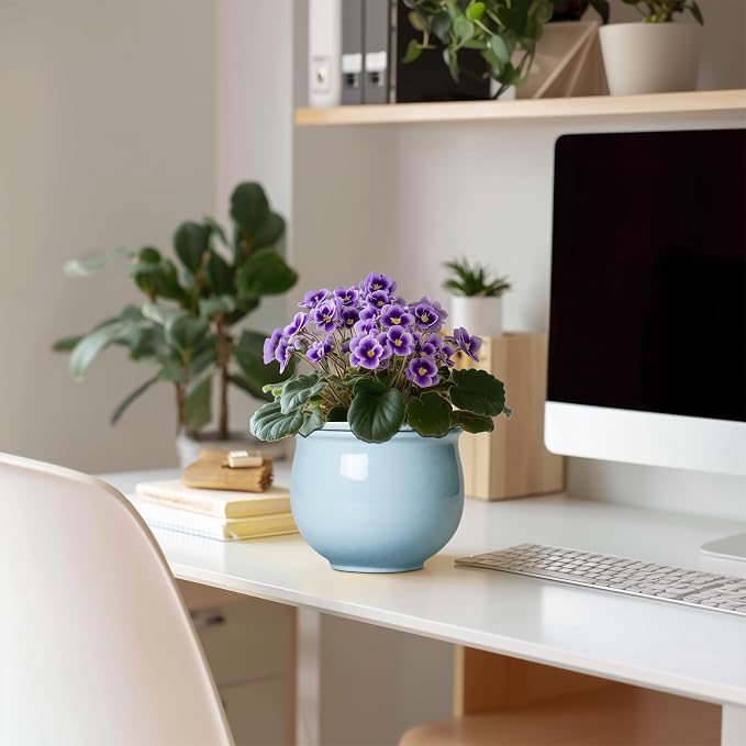 Ceramic African Violet Pots for Indoor Plants, 6 Inch Self Watering Planters - Image 3