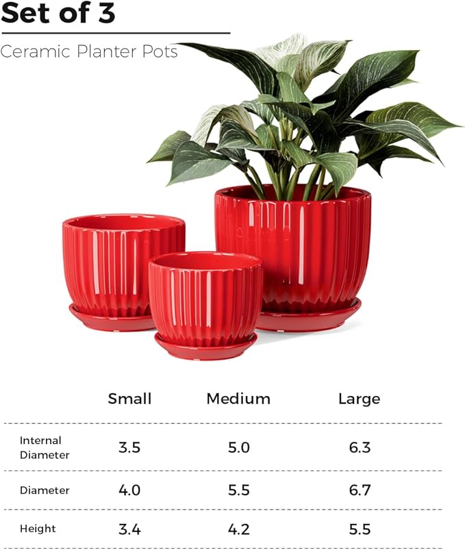 Ton Sin Ceramic Plant Pots - Image 3