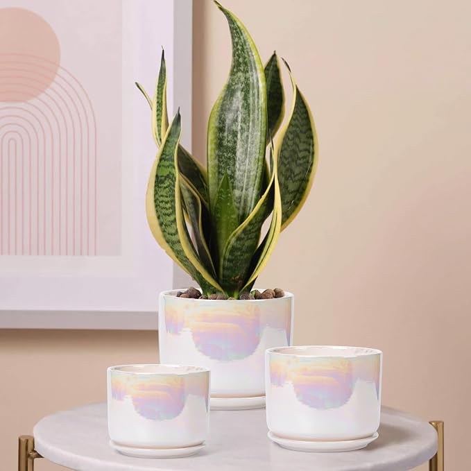EFISPSS Plant Pots, 4+5+6 Inch Pots - Image 6