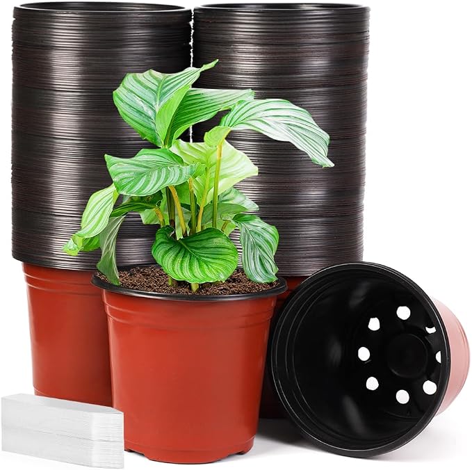 JERIA 200 Pack 6 Inch Plastic Nursery Pots Comewith Drainage Holes, Seedling by JERIA