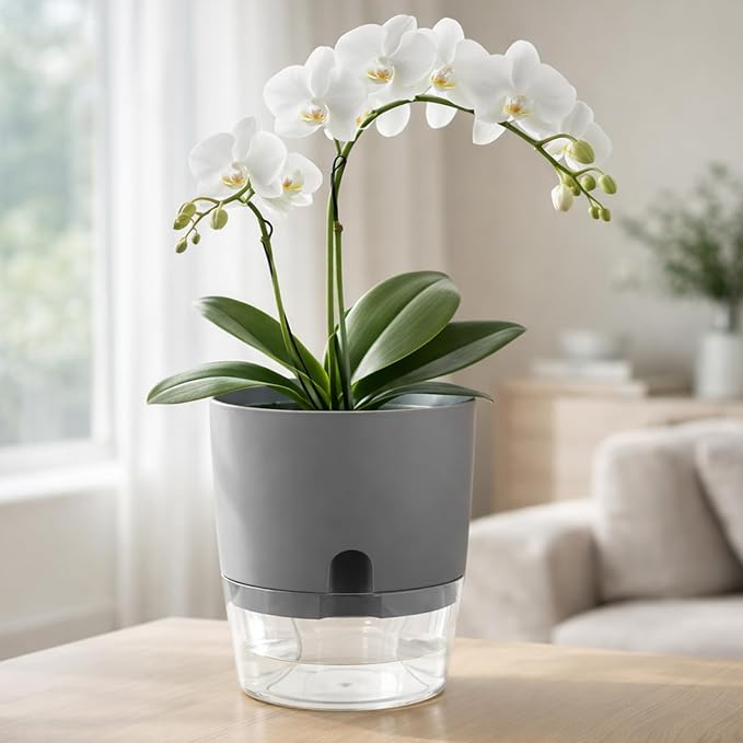 Planterhoma 5 Pack Self Watering Pots - Image 2