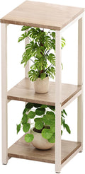 Plant Stand Indoor Corner Tall 3 Tier Metal Modern Flower Storage Plant Shelf by YIZAIJIA