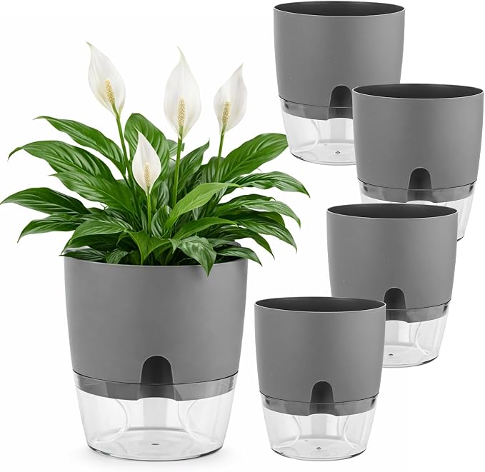 Planterhoma 5 Pack Self Watering Pots by Planterhoma