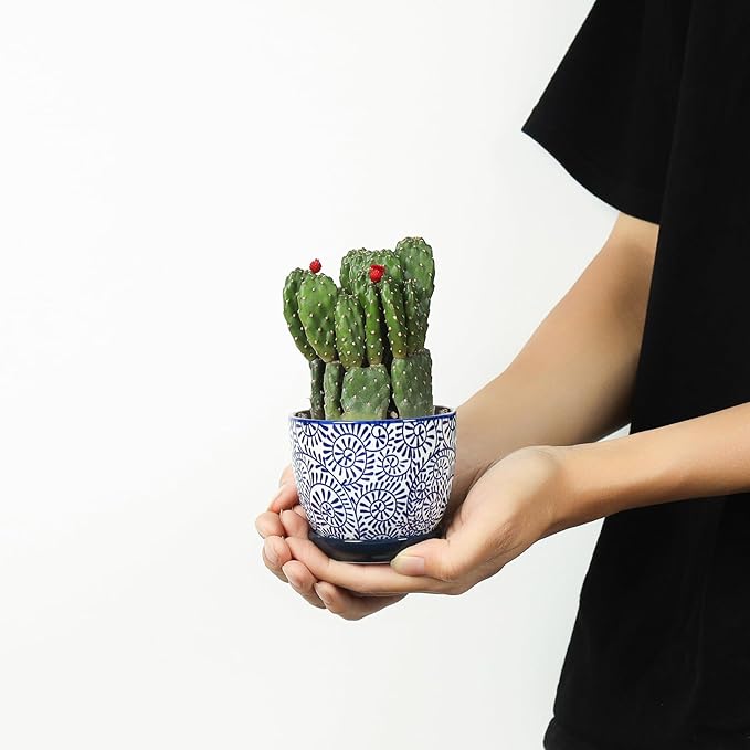 Selamica Ceramic Succulent Pots, 3.5 Inch Small Plant Pots - Image 7