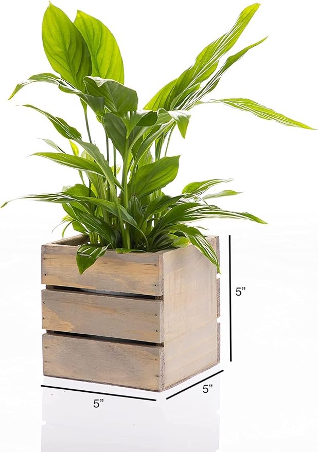 Wood Planter Box with Wine Crate Styled, 5 Inch Square, Rustic Barn Wood - Image 3