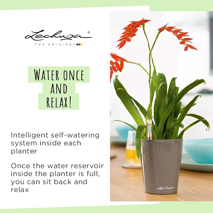 Lechuza MINI-DELTINI Charcoal Metallic, Self-Watering Small Indoor Planter - Image 7