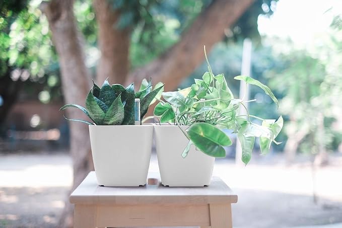 GARDENIX DECOR 5" Self Watering pots - Image 8