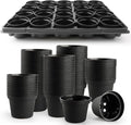 3 Inch Plastic Plant Pots 100 Pcs by RooTrimmer
