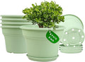 6 Inch Plastic-Flower Pot-for-Indoor Plants, 6 Pack Outdoor Plant Pots by Pottiffe