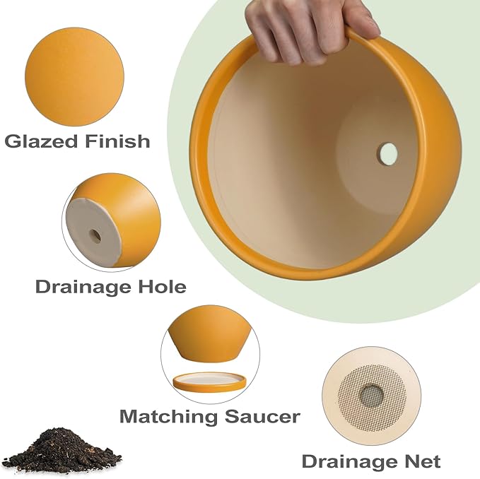 Ceramic Plant Pot - Image 6