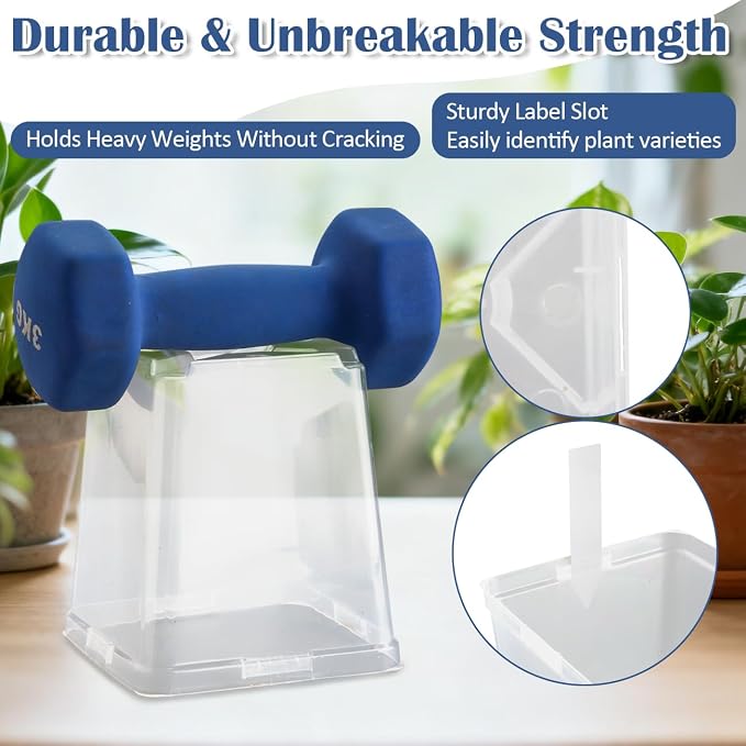 5.5 Inch Clear Square Nursery Pots - Image 5