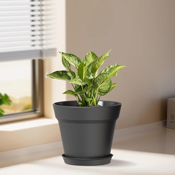 4 Inch Plastic Plant Pots with Drainage Holes and Trays – 8 Pack Small Nursery - Image 2