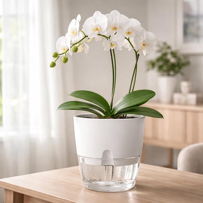 Planterhoma 5 Pack Self Watering Pots - Image 2