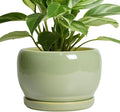 SQOWL 8 Inch Plant Pot by SQOWL