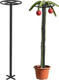 Adjustable Dragon Fruit Trellis, Heavy Duty Metal Plant Support Frame by ANTEQI