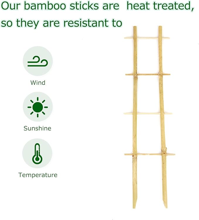 Bamboo Trellis, 16in Ladder-Shaped Trellis - Image 3