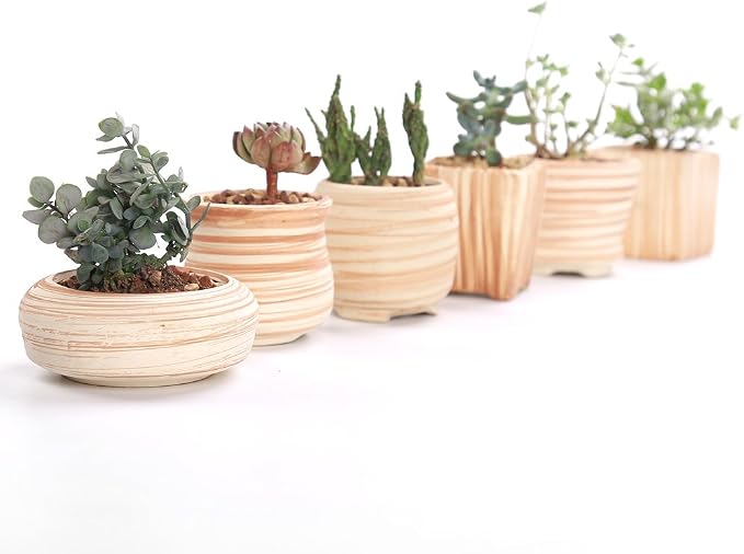 Sun-E 6 in Set 7.6 cm Ceramic Wooden Pattern Succulent Plant Pot Cactus Plant - Image 9