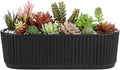 MyGift 12 Inch Ceramic Succulent Planter, Oval Matte Black Planter Pot by MyGiftHome