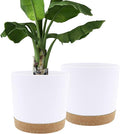 QCQHDU 12 inch Plant Pot, 2 Pack Planters by QCQHDU