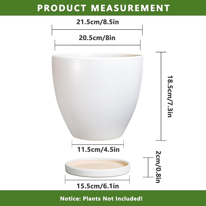8 Inch Plant Pot - Image 3