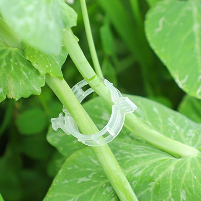 Plant Support Clips, Plastic Trellis Clips, Grape Vine Tomato Vine Vegetables - Image 5