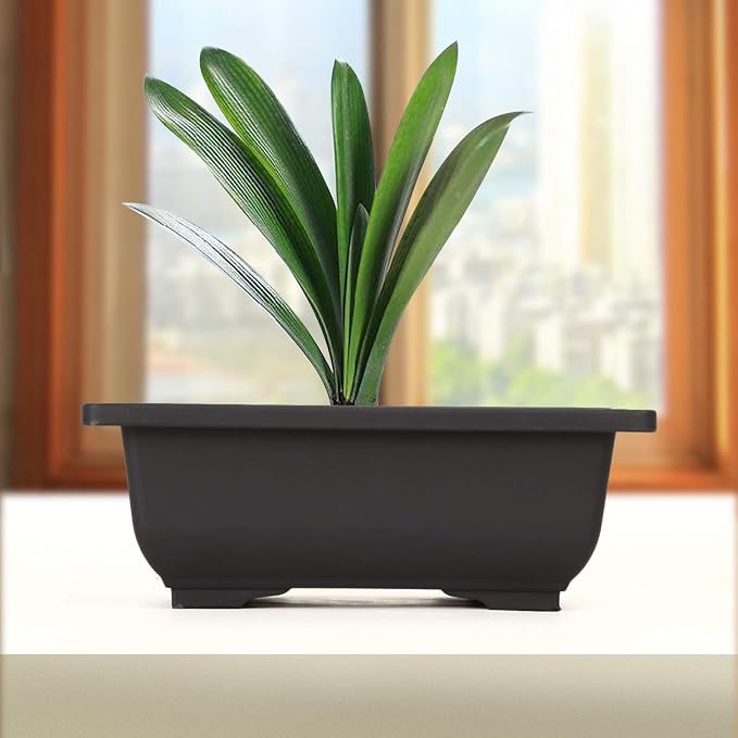 MANCHAP 20 PCS 8.9 Inch Plastic Bonsai Training Pots, Rectangular Bonsai Tree - Image 7