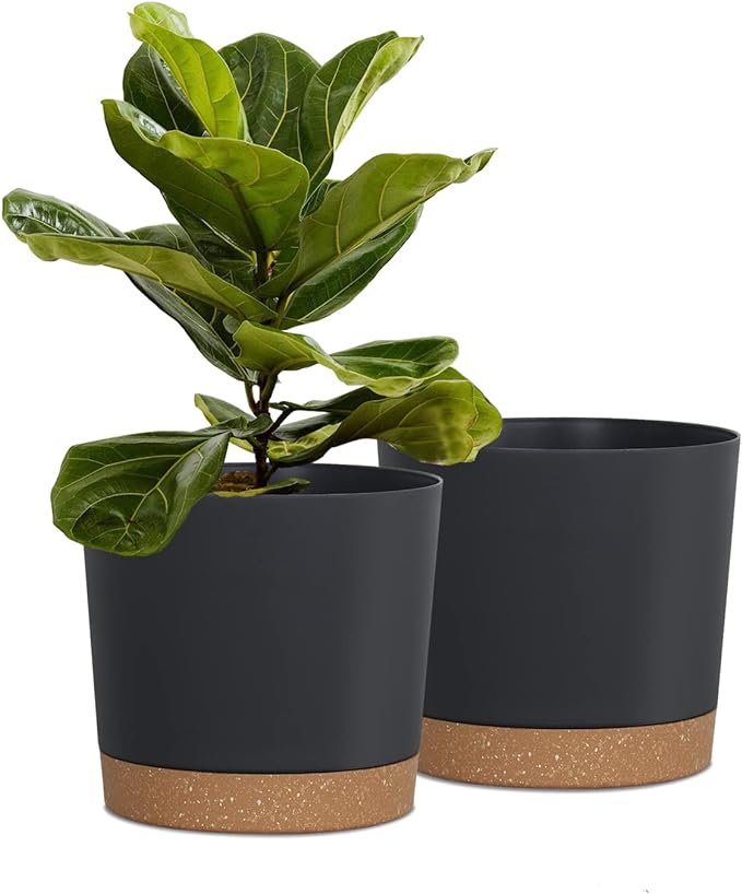 kubvici Plant Pots for Indoor Plants, 2 Pack 8 Inch Plastic Flower Pot Planters by kubvici