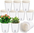 10 Pcs 3.74 Inch Self Watering Pots Self Watering Planters by Ziliny