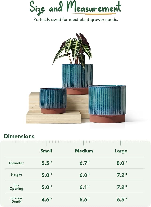 LE TAUCI Ceramic Plant Pots - Image 5